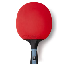 Ракетка для настольного тенниса Butterfly Timo Boll Progress FL (6110200002)